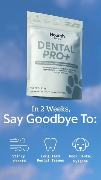 A high-converting 9:16 vertical ad creative that highlights the key benefits of a pet dental supplement through clear, minimalist iconography and a direct problem-solution headline.